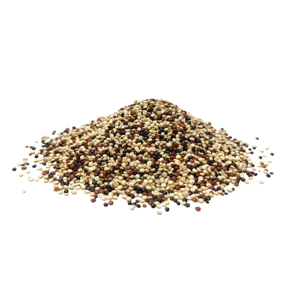 کینوا چند رنگ (خارجی)