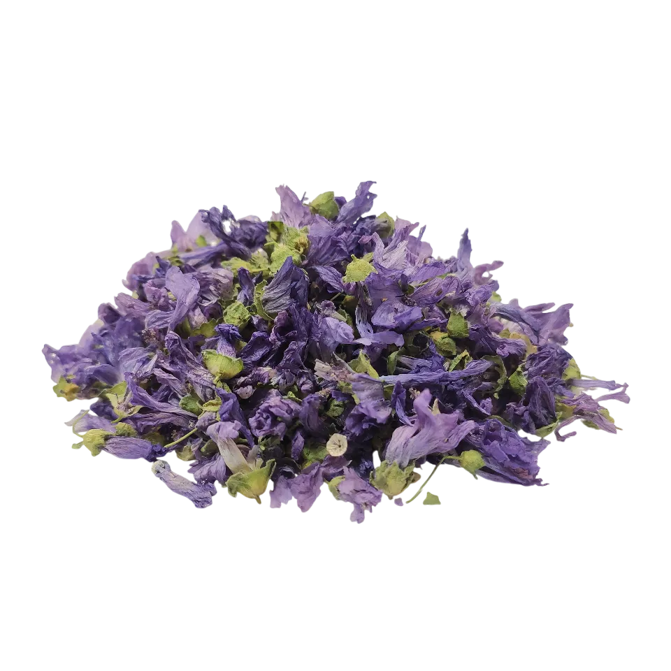 گل پنیرک (ختمی خبازی)