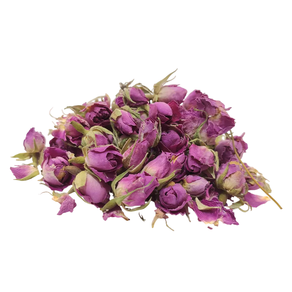 غنچه گل محمدی اعلاء